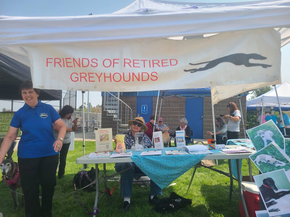Friends of Retired Greyhounds booth at A Day With the Dogs